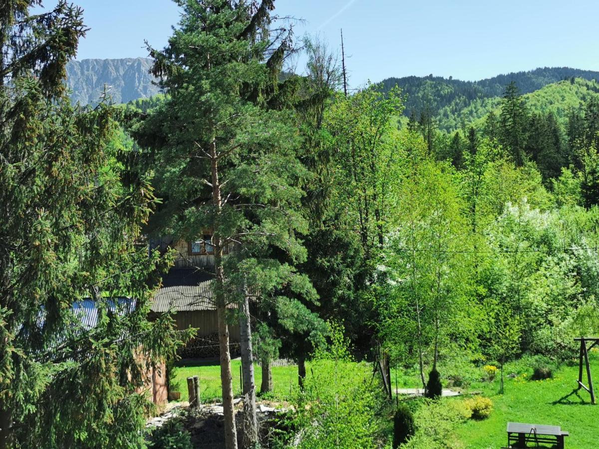 Willa Senator Zakopane Exterior foto
